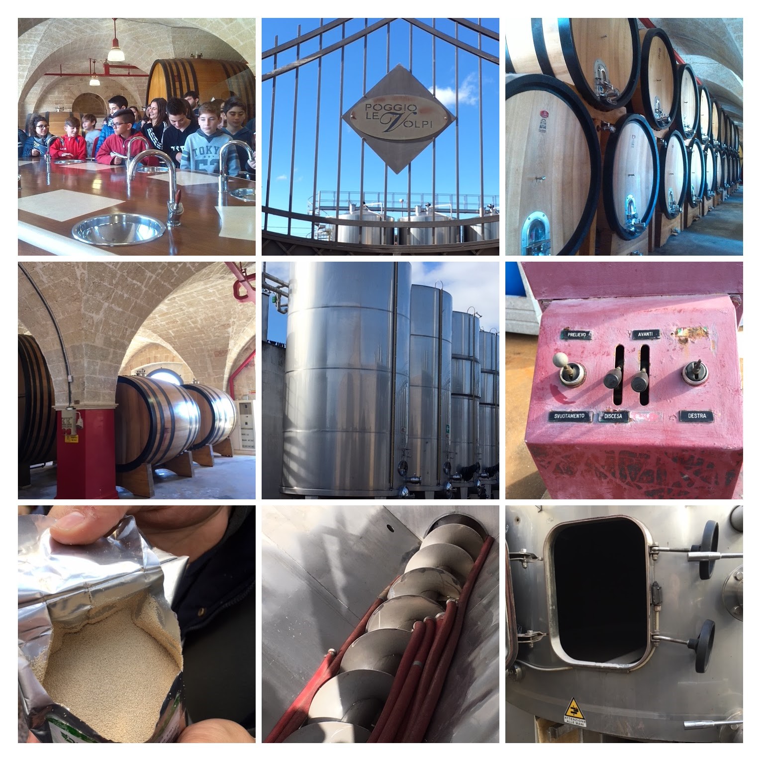 COLLAGE azienda vinicola